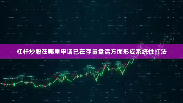 杠杆炒股在哪里申请已在存量盘活方面形成系统性打法