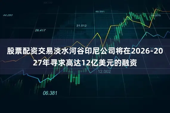 股票配资交易淡水河谷印尼公司将在2026-2027年寻求高达12亿美元的融资