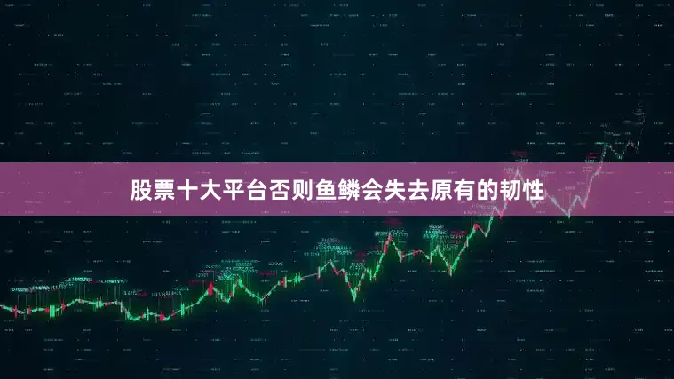 股票十大平台否则鱼鳞会失去原有的韧性